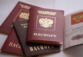 Проверка паспорта фмс на въезд в россию иностранному гражданину